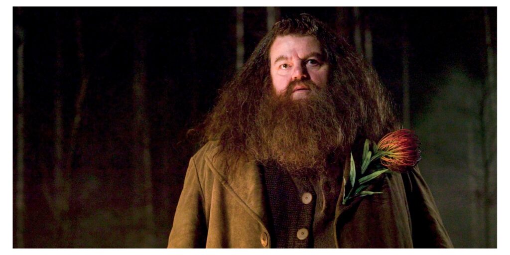 robbie-coltrane-biography-harry-potter-actor-dead-at-72